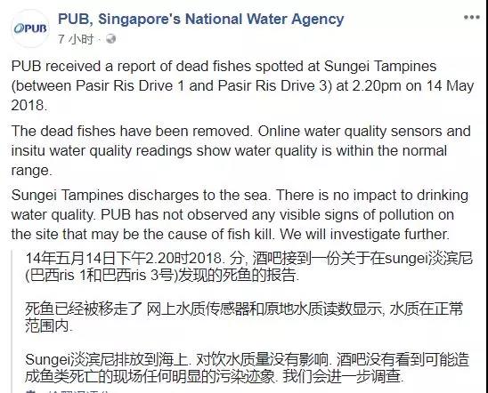 新加坡淡滨尼附近 惊现大量死鱼-热点新加坡