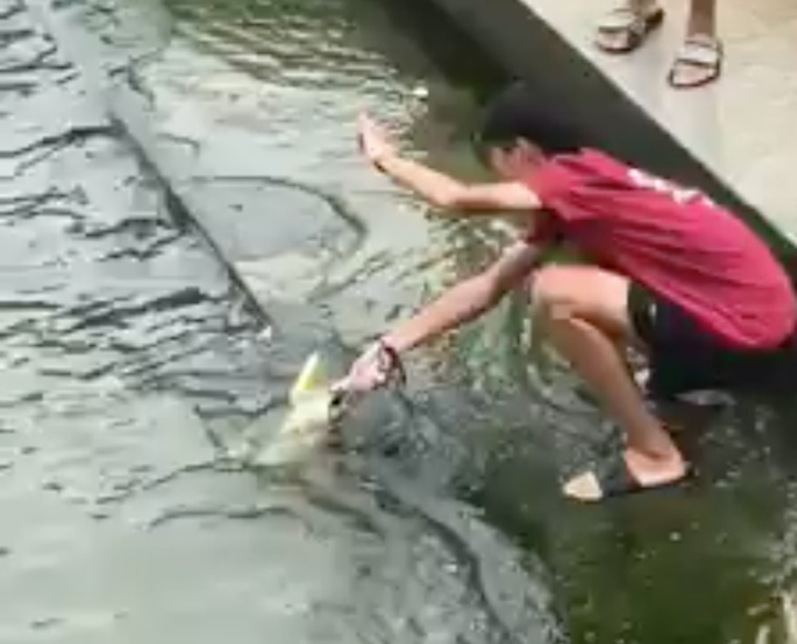 公用事业局提醒：鱼尾狮公园垂钓属非法行为！-热点新加坡