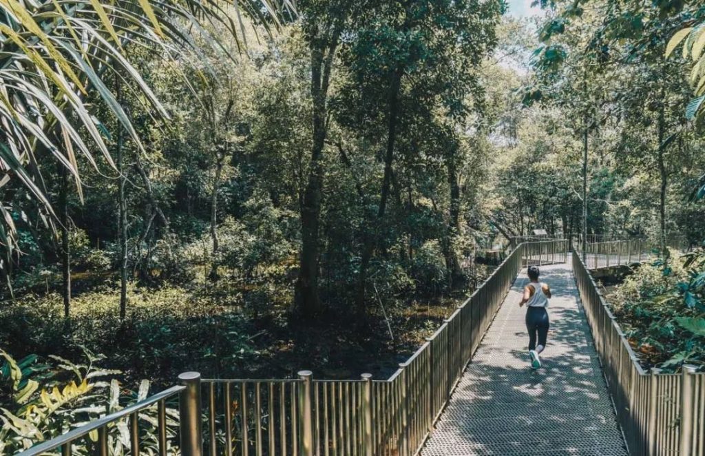 三月不减肥更待何时！新加坡7个最佳的室外公园等你来跑！-热点新加坡